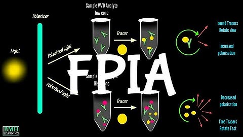 Fluorescence Polarisation Immunoassay | FPIA |