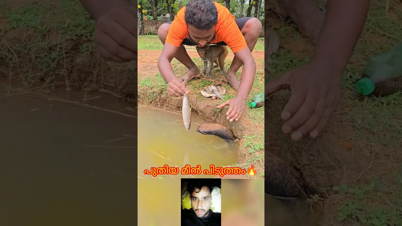 പുതിയ മീൻ പിടുത്തം 