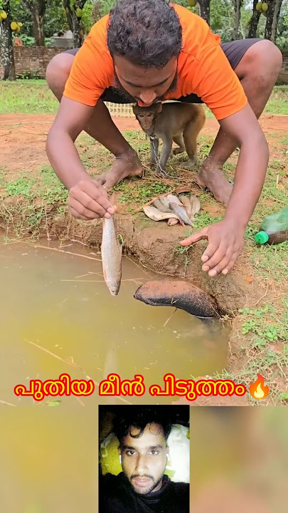 പുതിയ മീൻ പിടുത്തം #mallutraveler#fishingfreaks#shortsX#mallu#malayalam#m4tech