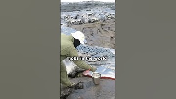 The most delicious lava