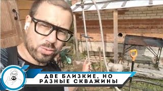 Абиссинская двойня // разный разрез на небольшом удалении