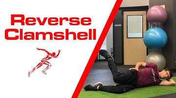 Reverse Clamshell Exercise