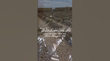 {وَاتَّقُوا يَوْمًا تُرْجَعُونَ فِيهِ إِلَى اللَّهِ ۖ } #سورة_البقرة  al-Baqarah# آية 281