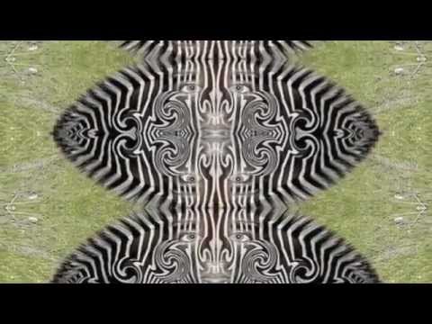 Please & Thank You Video