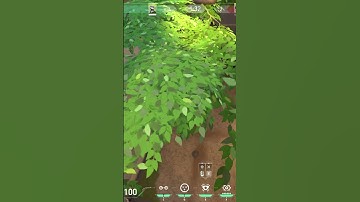 The Best CYPHER Cam Ascent || Valorant ||