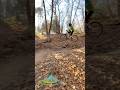 Spina verde Jump