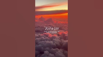 ما تيسر من سورة آل عمران | القرآن الكريم | القارئ ماهر المعيقلي