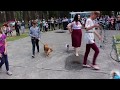 24.06.17 Коло пошани для учасників фестивалю  «LEBEDYN DOG FEST»