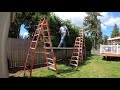 Cypress hedge trimming timelapse