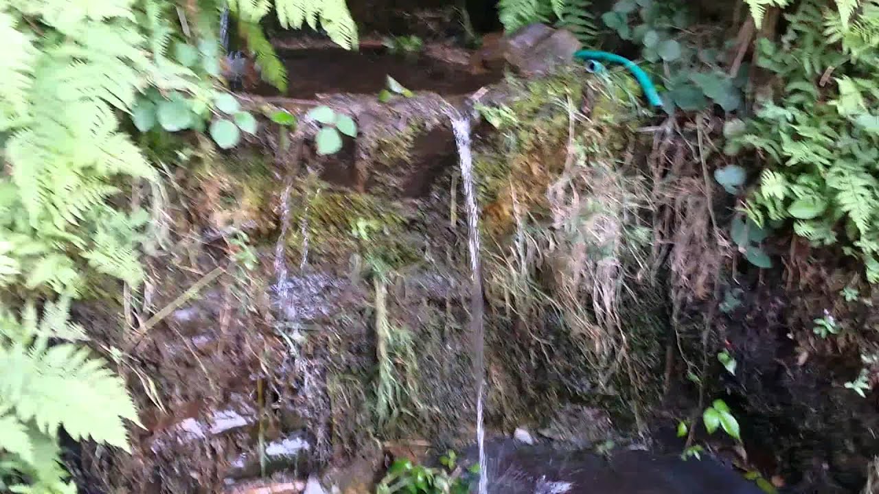 Galicia fuentes de aguas cristalinas y meigas