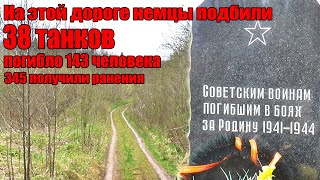 Какой ценой освобождали нашу деревню во время ВОВ (Тихвинская операция ноябрь 1941 года)