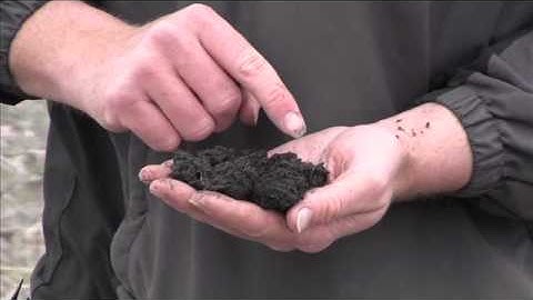 How to Conduct the Basic Soil Health Field Visual Evaluation.