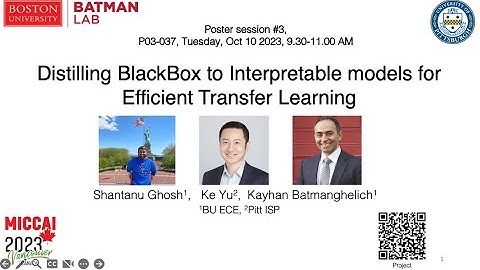 [MICCAI 2023]: Distilling BlackBox to Interpretable models for Efficient Transfer Learning