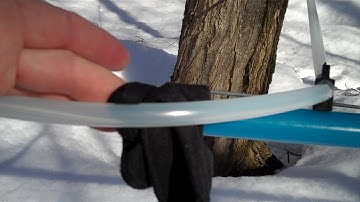 Fast flow through loop   leak in lateral line