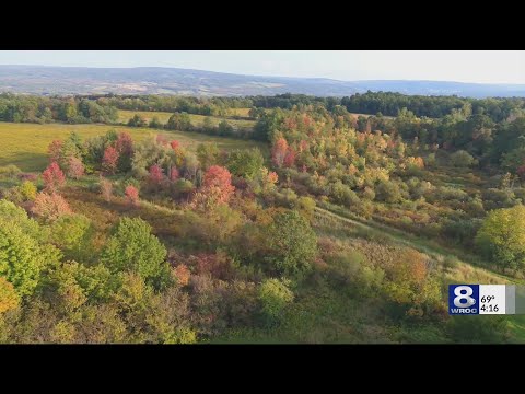 Autumn Colors Emerging In Nunda On First Day Of Fall September 23 2019