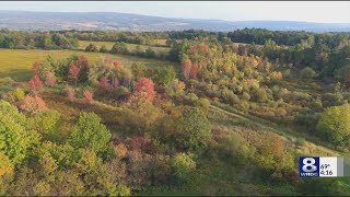Autumn Colors Emerging In Nunda On First Day Of Fall September 23, 2019