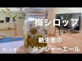 【季節のvlog」待ち焦がれた季節/梅シロップ/新生姜のジンジャーエール/季節の手仕事