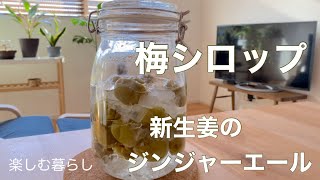 【季節のvlog」待ち焦がれた季節/梅シロップ/新生姜のジンジャーエール/季節の手仕事