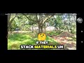 Fix That Tree 🌳:  Part 2 - Protecting Trees During Construction 🚧  #CertifiedArborist, #TreeCare