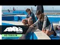 Bernie The Dolphin International Trailer 2018 Family Movie Bernie The Dolphin International Trailer 2018 Family Movie
