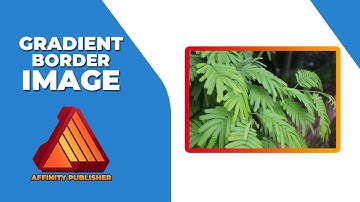 How to add Gradient border to image in affinity publisher