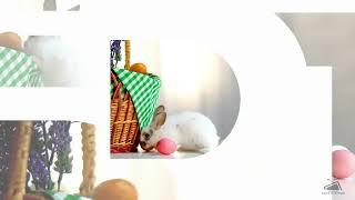 ΕΡΤ - Easter Ident #5 (2022-2023)