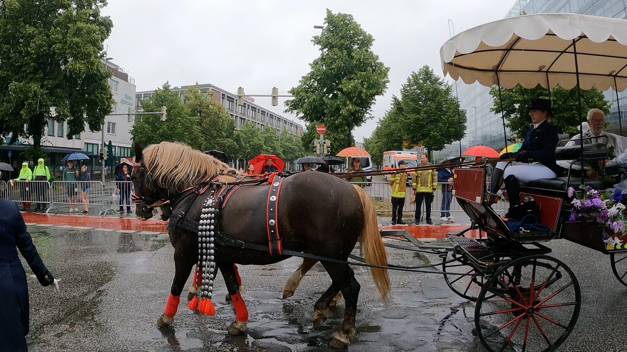Schützenausmarsch🥁🎺 2024  Hannover. 4K