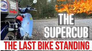 HONDA | SUPERCUB | C125 | The last bike standing