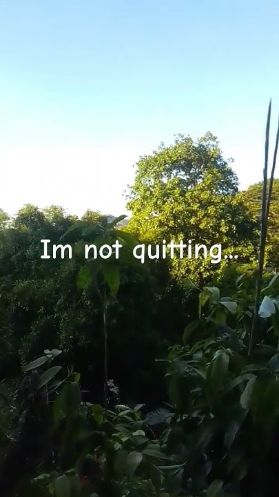 yes-i-m-telling-the-truth-but-just-because-i-m-not-quiting-doesn-t-mean