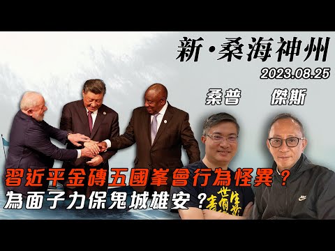 【新·桑海神州】習近平金磚五國峯會行為異常？肥腫難分反映健康出事！習為面子力保鬼城雄安，千年大計一朝喪？ | 主持：桑普、傑斯 | 20230825 (Part 1請前往 @桑普頻道 收看)