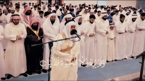 سوره النجم بالترتيل النهاوند اليمني بصوت الشيخ أحمد النفيس#محراب_التلاوات