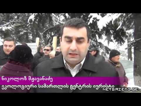 აქცია კიკვიძის ბაღში.mp4