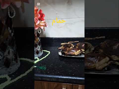 حمام متحمر باللبن