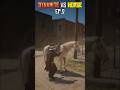 Dynamite Vs Horse🧨ep.2 #rdr2 #games #daffoxrdr #rdr2online #gaming #dynamite #horse #test #endurance