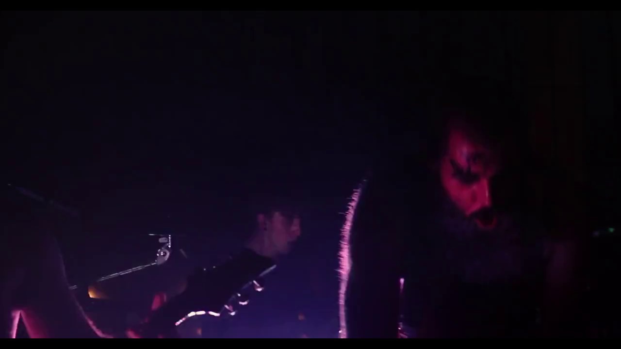 Krautstein "Laichzeit" COVER live in Dallas