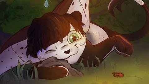 CARISSA - OC OPEN  MAP