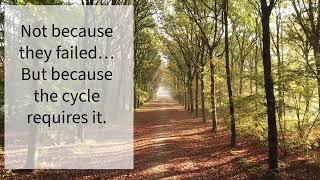 Let the Leaves Teach You