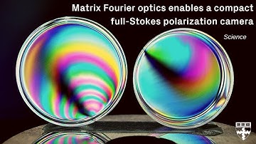 Tiny Polarization Camera Sees What Human Eyes Can’t