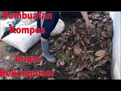 Video: Slug Dalam Kompos: Adakah Menguruskan Slug Kompos Diperlukan