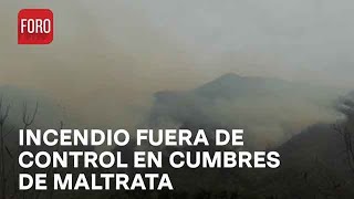 Sigue fuera de control incendio en Cumbres de Maltrata, Veracruz  Las Noticias