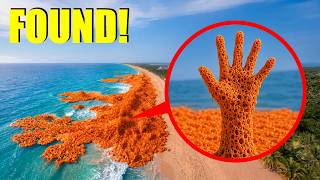 😨If you see this SEA FOAM on a BEACH...DO NOT APPROACH! (KEEP OUT OF THE WATER!)