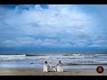 Ankit and Ridhima Wedding Teaser