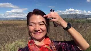 Tourist voiceover - Bay area discovery Alviso, California asmr