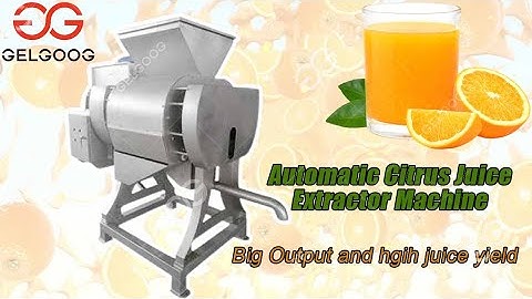 Automatic Citrus Juice Extractor Machine Industrial Citrus Processing Machinery