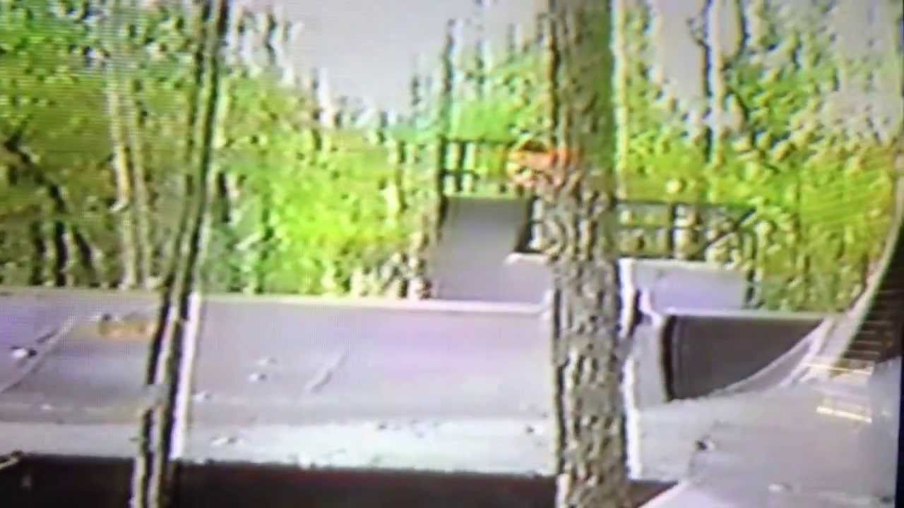 Chuck Powell Skate Videos, 1993-2001 Old Skate Footage