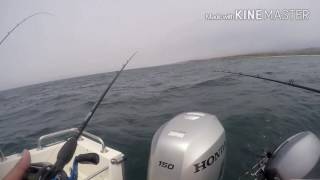 ROCK COD LINGCOD VERMILION FISHING AT Half Moon Bay @ Light House