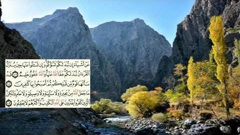 صفحة-124 page سعد الغامدي - -سورةالمائدة -Al-Maidaa