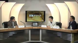 20140318 「STAP細胞」は捏造なのか 池田信夫×緑慎也×石田雅彦