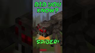 Did you know this about the Minecraft Spider?