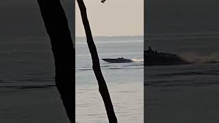 ⚓️Spider🕷Bait⚓️#youtubeshorts #fun #skills #boats #fishing #speed #offshore #island